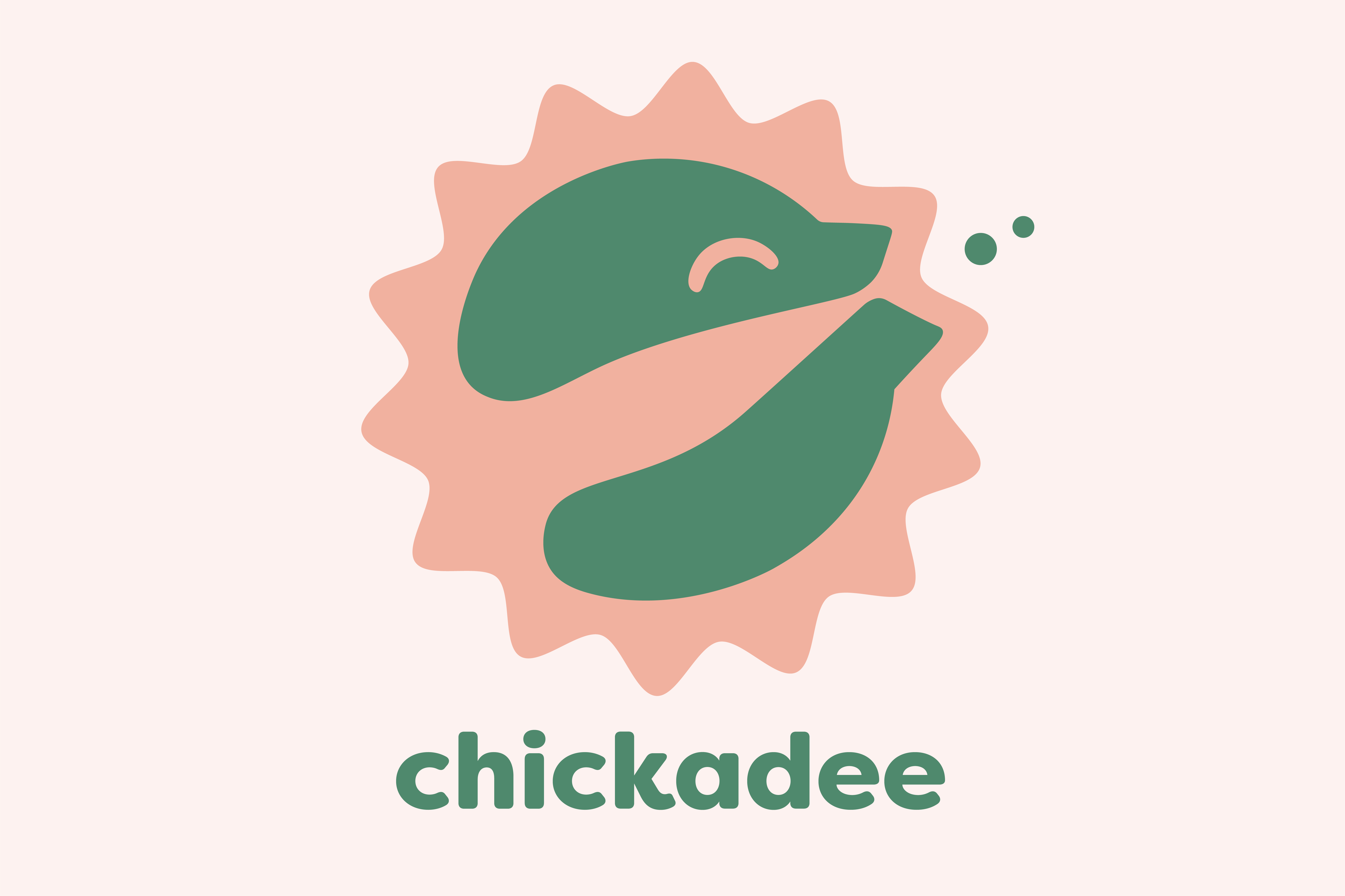 spin chickadee-02